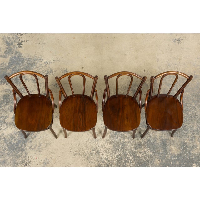 French Set of 4 French Bentwood Bistro Dining Chairs, Provence, Mid-20th Century For Sale - Image 3 of 18