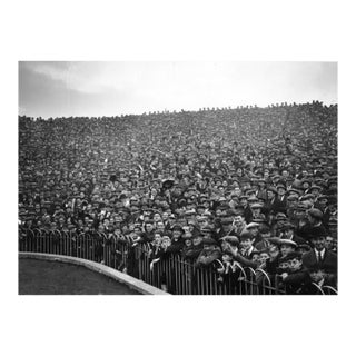 'Highbury Turn Out' Unframed Archival Pigment Print For Sale