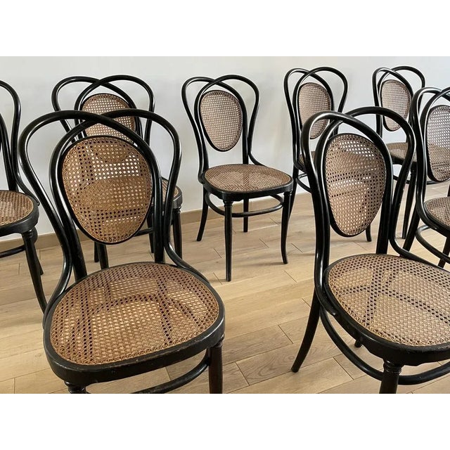 Viennese Chairs N.33 by J & J Kohn, 1900, Set of 8 For Sale - Image 10 of 18