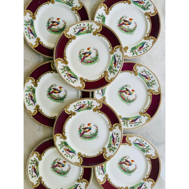 Vintage Myott Staffordshire Chelsea Bird dessert plates featuring colorful exotic birds framed by ornate burgundy and gold...
