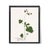 Paper Antique Botanical Set in Oxblood - Set of 8 16" X 20" For Sale - Image 7 of 15