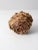 Vintage Twig & Moss Basket For Sale - Image 9 of 11