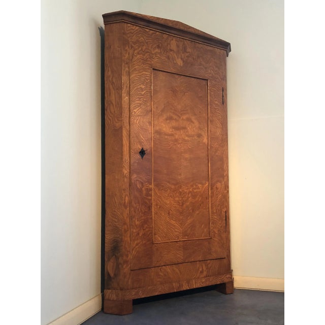 Biedermeier Elm Corner Cupboard, 1830s For Sale - Image 4 of 11