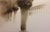 Michele Alassio, Venice 1954, Palazzo Ducale, 2000, Photography For Sale - Image 7 of 13