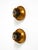 Gold Gilt Water Lily Wall Lamps from Banci Firenze, Italy, 1960s, Set of 2 For Sale - Image 8 of 15