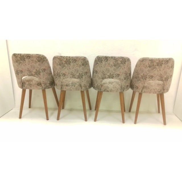Dining Chairs by Oswald Haerdtl, 1950s, Set of 4 For Sale - Image 6 of 13