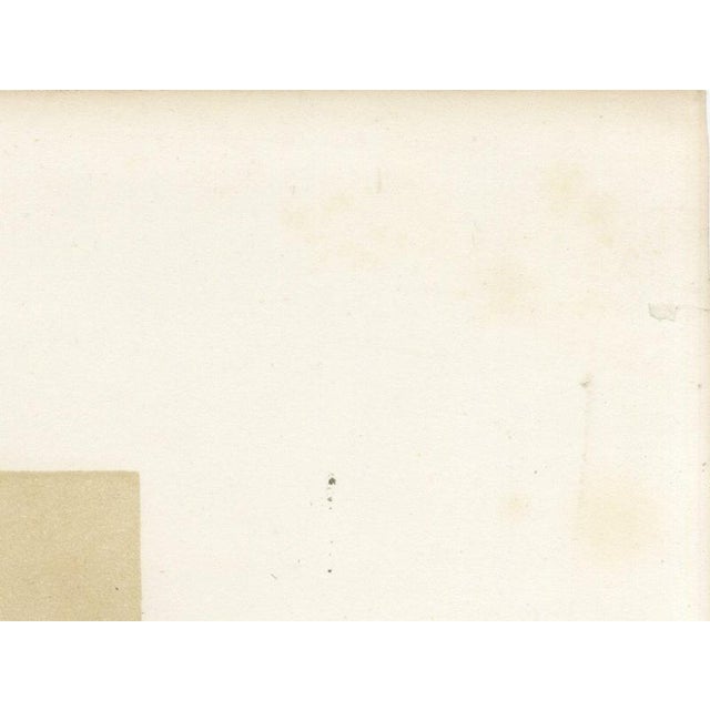 Paper Emilie, Durham Shorthorn Cow of Corbon, 1873, Paper For Sale - Image 7 of 12