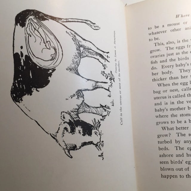 'Growing Up' Vintage Book For Sale - Image 10 of 11