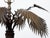 Pair of French 1920s Bronze Palm Tree Table Lamps on Octagonal Bases, USA Wired For Sale - Image 11 of 11