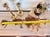 Rare Vintage Mauritanian Ceremonial Leather Wedding Staff For Sale - Image 6 of 6