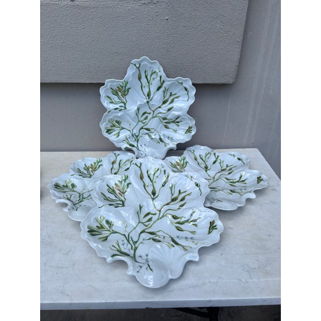 French porcelain oyster plate with seaweeds Limoges, circa 1900. 10 plates available.