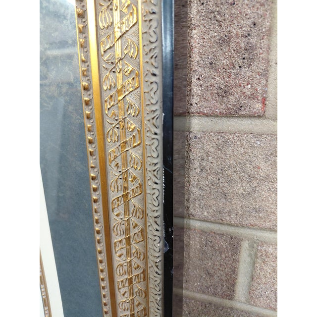 Brick Red Late 19th Century Framed Etching by Johann J. Scheuchzer, Titled "Calamus Aromaticus Casiais" For Sale - Image 8 of 9