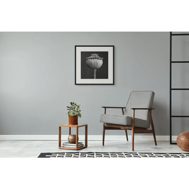 "Poppy Pod Head" No. 3 Black and White Botanical Photography in the Spirit of Karl Blossfeldt A sophisticated botanical...