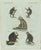 Bertuch, Five Monkeys and Tamarins, 1802, Engraving For Sale - Image 9 of 9
