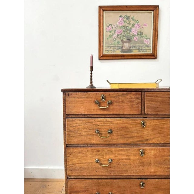 Georgian Fruitwood Chest of Drawers For Sale - Image 5 of 11