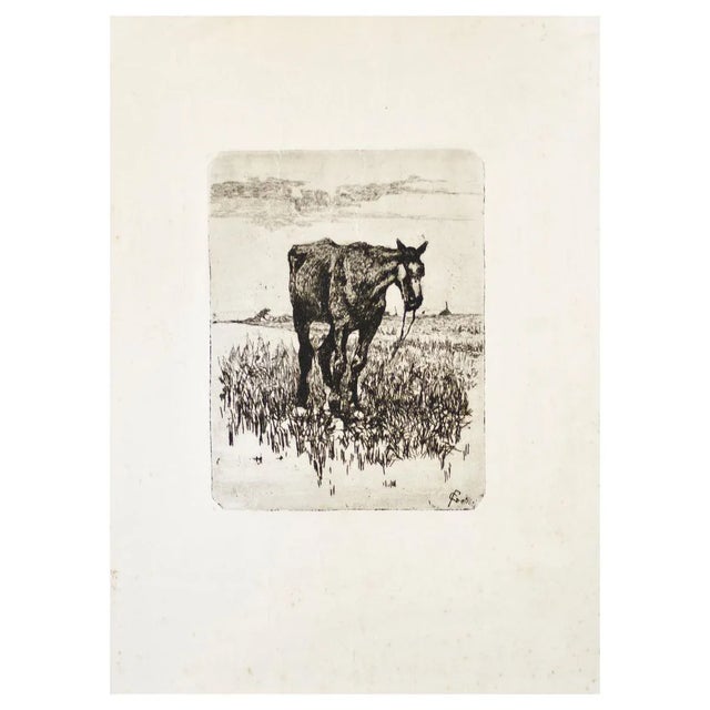 The Old Horse - Original Etching by Giovanni Fattori - 1900-1908 ca. 1900-1908 For Sale - Image 4 of 4