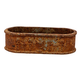 Small Cast Iron Oval Planter, France Early 20th C. For Sale