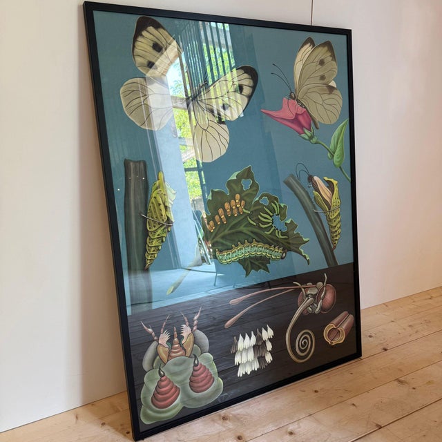 Wood Educational Poster Butterfly, Sweden, 1960 For Sale - Image 7 of 7