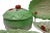 Vintage Carlton Ware & Beswick Lettuce-and-Tomato Collection With Japanese Covered Bowl — Set of 5 For Sale - Image 9 of 18