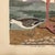 American Early American Poster, Spoonbill and Shore Birds For Sale - Image 3 of 8