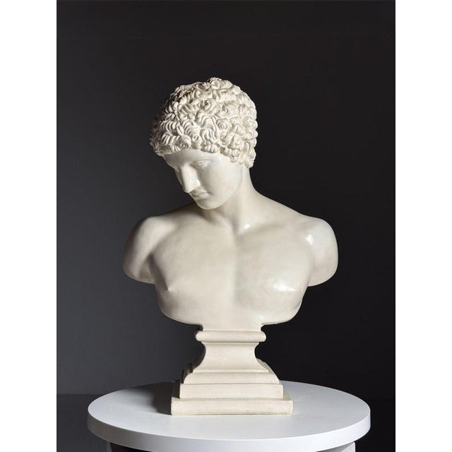 White Plaster Bust of Hermes For Sale - Image 8 of 17