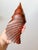 Late 20th Century Vintage Large Carved Ironwood Conch Shell Sculpture Objects, a Pair For Sale - Image 5 of 16