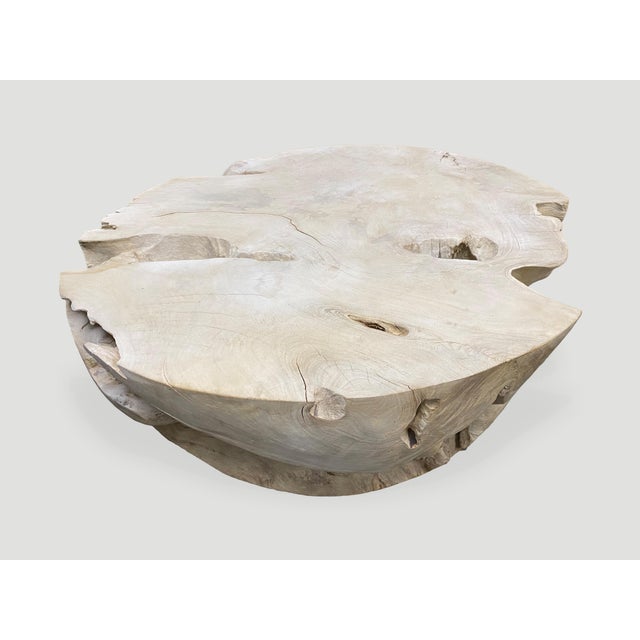 Andrianna Shamaris Round Bleached Teak Wood Coffee Table For Sale - Image 14 of 18