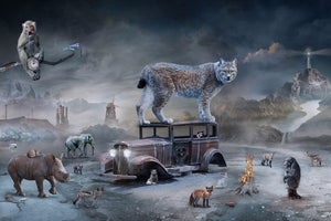 Twilight by Marcin Owczarek | Photography - Dye Sublimation on Aluminum surreal scene with animals