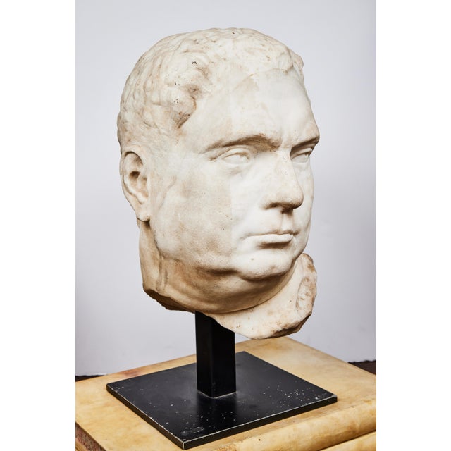 16th Century Antique Bust of Roman Emperor Vitellius, c. 1550 For Sale - Image 5 of 9