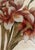 Set of 3 Lauren Galleries Framed Hand-Embellished Botanical Floral Prints For Sale - Image 9 of 11