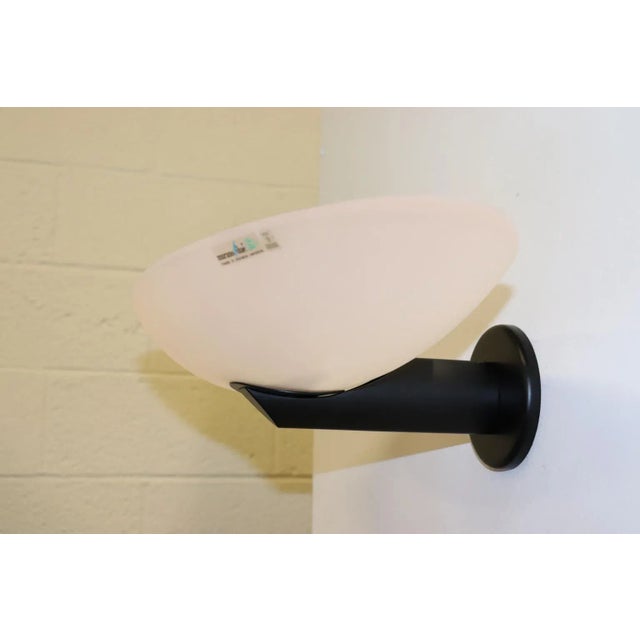 "Chimera" Wall Lamp Murano Rose Glass Diffuser, Satin Finish and Black Mounting. Designed By Carlo Nason For Murano Due....