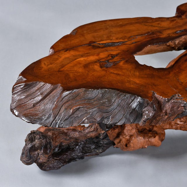 Nakashima Style Live Edge Redwood Burl Root Stump Slab Coffee Table For Sale - Image 6 of 18