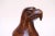 Brown Vintage Folk Art Carved Eagle / Hawk Sculpture For Sale - Image 8 of 12