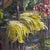 Monumental 19th Century French Produce Market Oil Painting by Camille Olivier For Sale In Chicago - Image 6 of 18