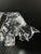 French Baccarat Crystal "Wall Street Bull" Figurine For Sale - Image 3 of 6