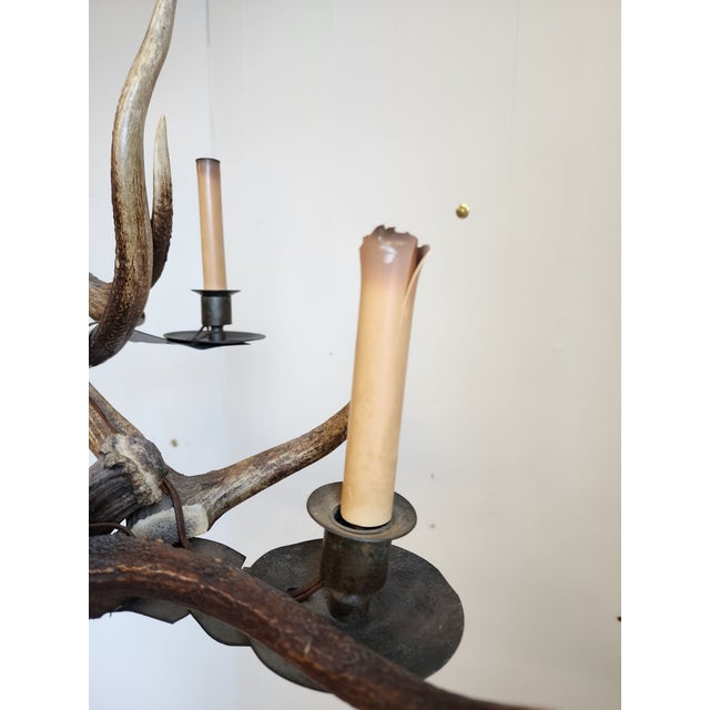 Antique Elk Antler Chandelier For Sale - Image 13 of 13