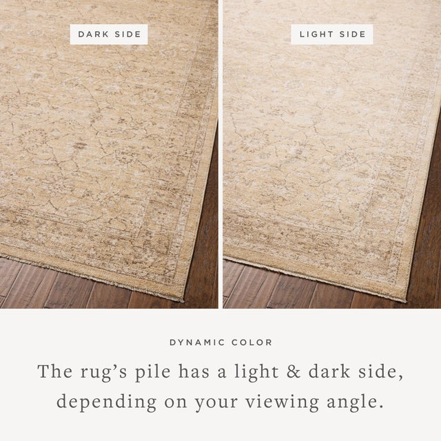 Textile Chris Loves Julia x Loloi Palma Wheat / Bark 3'-6" x 5'-6" Accent Rug For Sale - Image 7 of 7