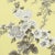 Schumacher Pyne Hollyhock Wallpaper in Buttercup For Sale