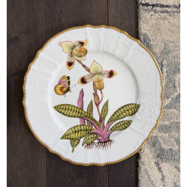 Late 20th Century Set of 10 Anna Weatherley Dinner Plates From the "Mid Summer" & "Flowers of Yesterday " Pattern 10.25" For Sale - Image 12 of 14