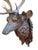 Antique Black Forest Stag Deer Head Wood Carved Sculpture Carving For Sale In Aspen - Image 6 of 7