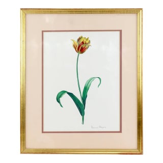 Vintage Hand-Painted Plant Specimen Watercolor Tulip Specimen (With Frame). Signed in the Lower Right Corner For Sale