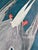 Antique White 1964 Audubon Folio Lithograph Great Bird Paintings – “Arctic Tern” 17x14 For Sale - Image 8 of 9