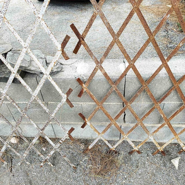 Window Grilles in Iron, Set of 2 For Sale - Image 16 of 18