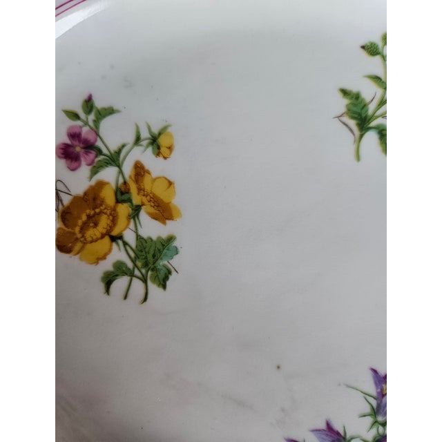 19th Century Platters Decorated with Wildflowers and having a Raspberry Pink Border. Largest is 13" and the smaller one is...