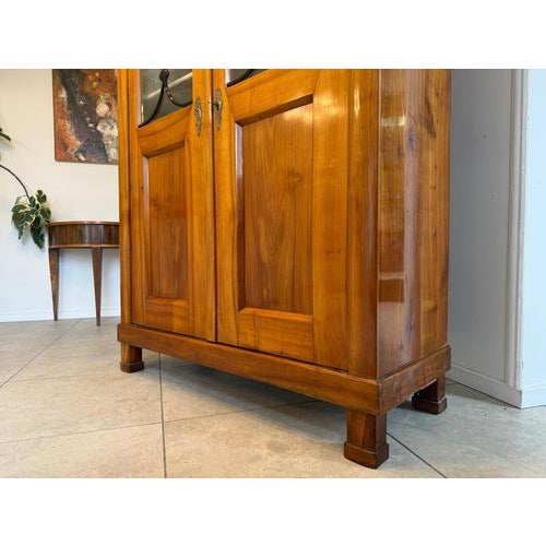 Brown Biedermeier Display Cabinet or Bookcase For Sale - Image 8 of 12