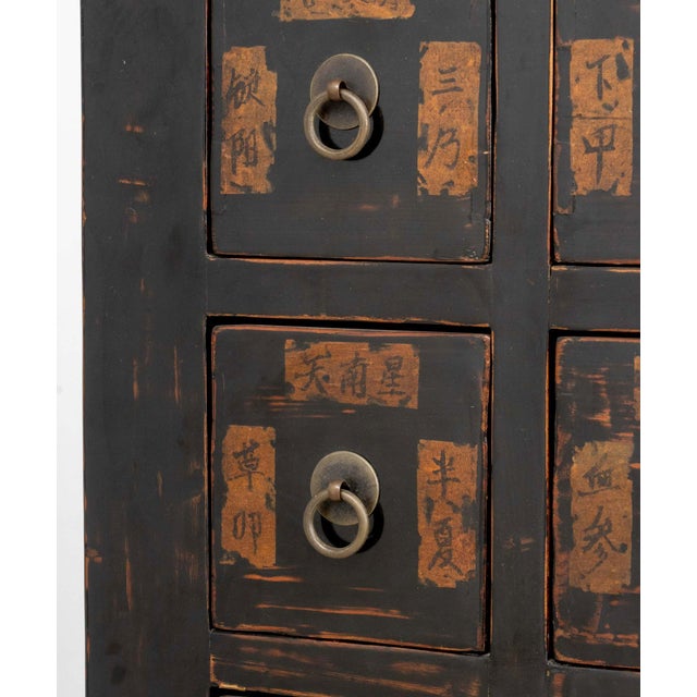 Black Chinese Apothecary Cabinet, 19th Century For Sale - Image 8 of 11
