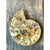 Vintage Fossilized Ammonite Specimen For Sale - Image 12 of 12