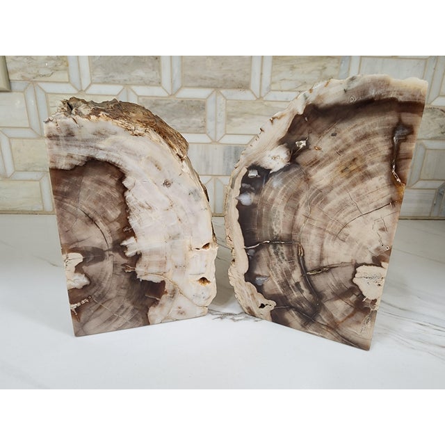 1970s 1970s Set of Mid Century Modern Petrified Wood Bookends For Sale - Image 5 of 7