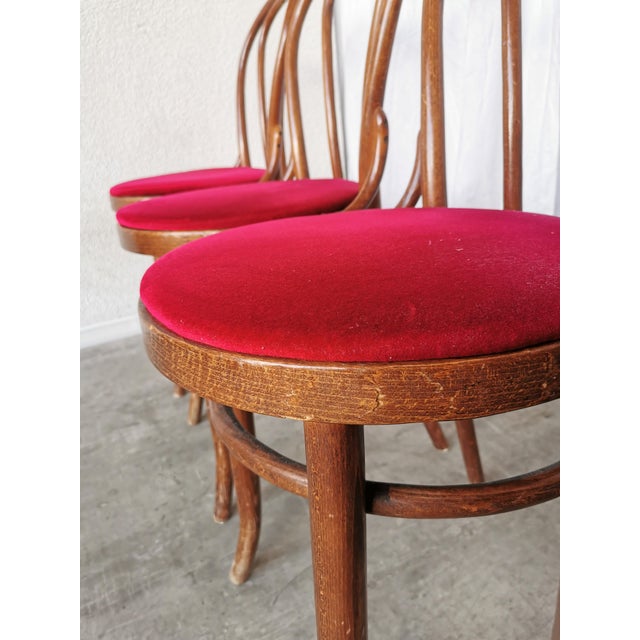 Vintage Bentwood Dining Chairs with Red Upholstery, 1970s, Set of 6 For Sale - Image 14 of 18
