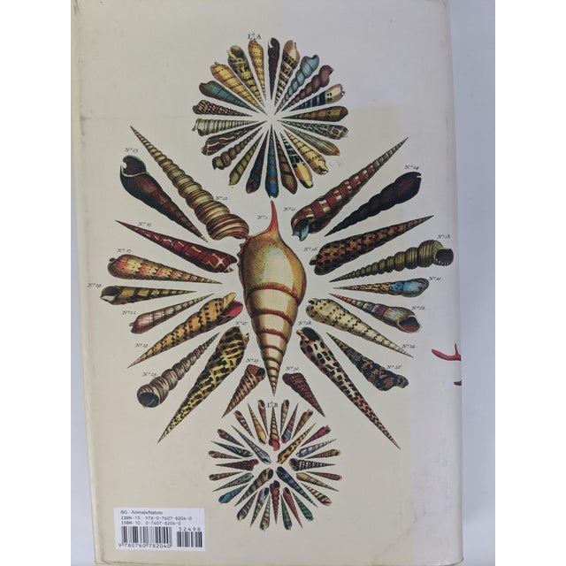Albertus Seba's Cabinet of Natural Curiosities – Taschen Red & White Illustrated Book For Sale - Image 12 of 12